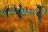 Landschap van Vincent van Gogh